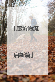 廊坊物流启新篇