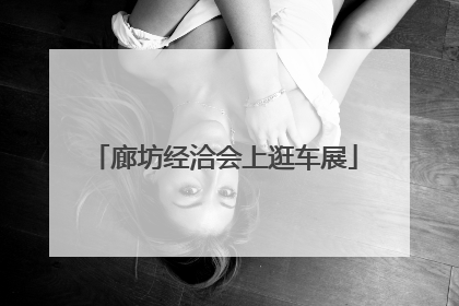 廊坊经洽会上逛车展