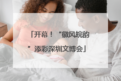 开幕！“徽风皖韵”添彩深圳文博会