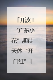 开波！“广东小花”期待天体“开门红”