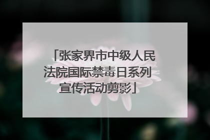 张家界市中级人民法院国际禁毒日系列宣传活动剪影