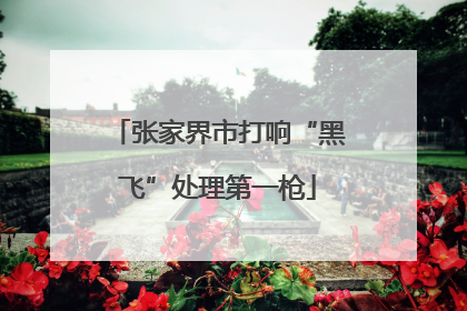 张家界市打响“黑飞”处理第一枪