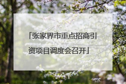 张家界市重点招商引资项目调度会召开