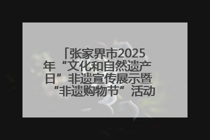 张家界市2025年“文化和自然遗产日”非遗宣传展示暨“非遗购物节”活动在慈利县盛大启幕
