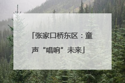 张家口桥东区：童声“唱响”未来