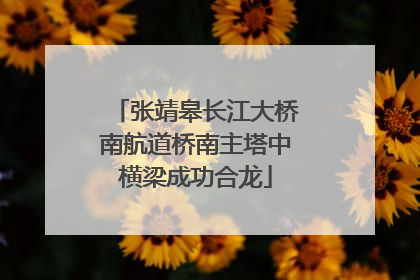 张靖皋长江大桥南航道桥南主塔中横梁成功合龙