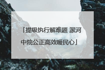 提级执行解难题 漯河中院公正高效暖民心