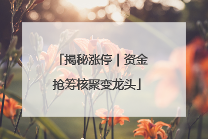 揭秘涨停｜资金抢筹核聚变龙头