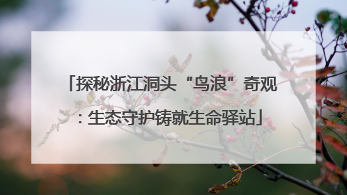探秘浙江洞头“鸟浪”奇观：生态守护铸就生命驿站