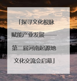 探寻文化根脉 赋能产业发展——第二届河南起源地文化交流会启幕