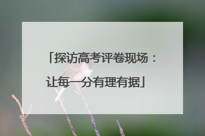 探访高考评卷现场：让每一分有理有据