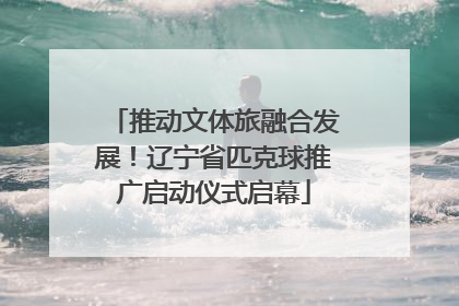 推动文体旅融合发展！辽宁省匹克球推广启动仪式启幕