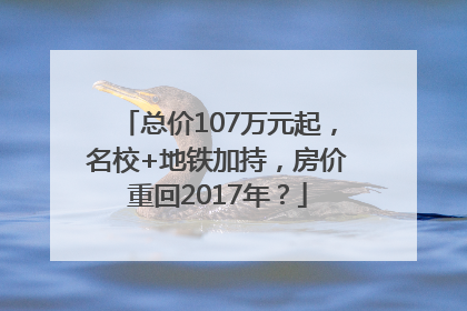 总价107万元起，名校+地铁加持，房价重回2017年？
