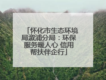 怀化市生态环境局溆浦分局：环保服务暖人心 信用帮扶伴企行