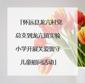 怀远县龙亢村党总支到龙亢镇实验小学开展关爱留守儿童慰问活动