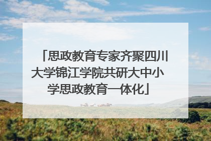 思政教育专家齐聚四川大学锦江学院共研大中小学思政教育一体化