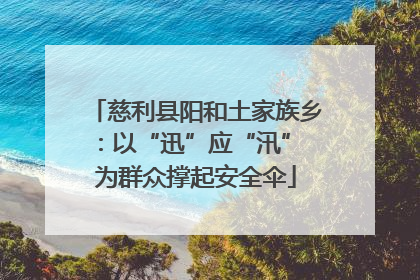 慈利县阳和土家族乡：以“迅”应“汛” 为群众撑起安全伞
