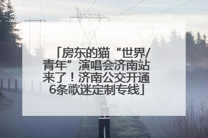 房东的猫“世界/青年”演唱会济南站来了！济南公交开通6条歌迷定制专线