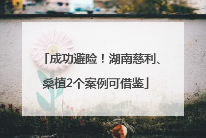 成功避险！湖南慈利、桑植2个案例可借鉴