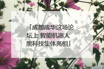 成都成华这场论坛上 智能机器人黑科技集体亮相