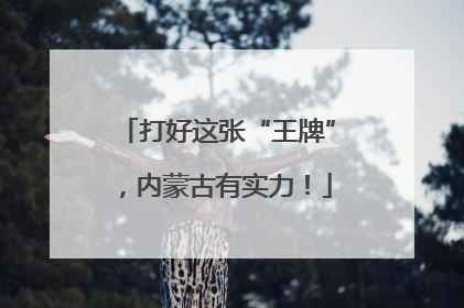 打好这张“王牌”，内蒙古有实力！