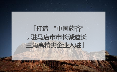 打造 “中国药谷”，驻马店市市长诚邀长三角高精尖企业入驻