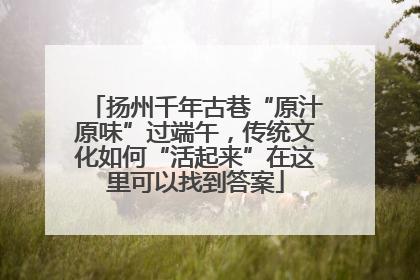扬州千年古巷“原汁原味”过端午，传统文化如何“活起来”在这里可以找到答案