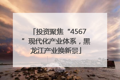 投资聚焦“4567”现代化产业体系，黑龙江产业换新景