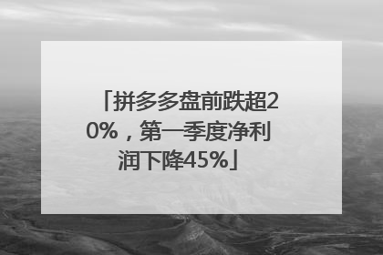 拼多多盘前跌超20%，第一季度净利润下降45%