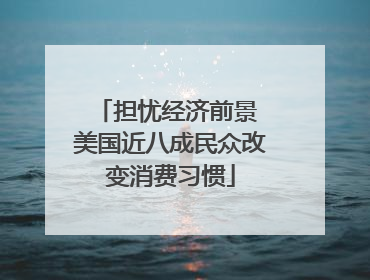 担忧经济前景 美国近八成民众改变消费习惯