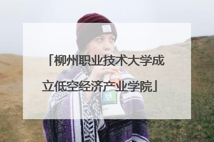 柳州职业技术大学成立低空经济产业学院