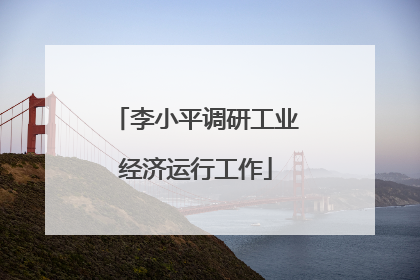 李小平调研工业经济运行工作