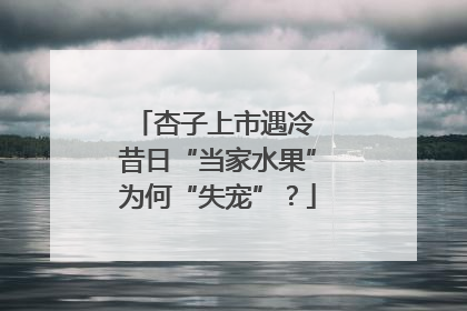 杏子上市遇冷 昔日“当家水果”为何“失宠”？