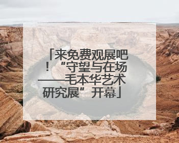 来免费观展吧！“守望与在场——毛本华艺术研究展”开幕