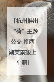 杭州推出“荷”主题公交 将西湖美景搬上车厢