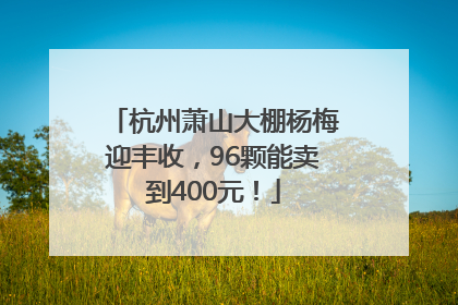杭州萧山大棚杨梅迎丰收，96颗能卖到400元！