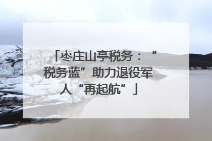 枣庄山亭税务：“税务蓝”助力退役军人“再起航”