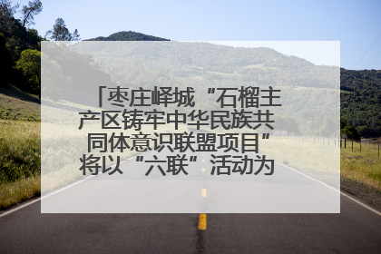 枣庄峄城“石榴主产区铸牢中华民族共同体意识联盟项目”将以“六联”活动为抓手深化品牌建设