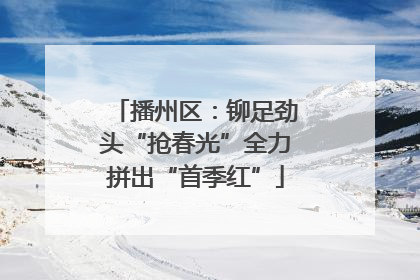 播州区：铆足劲头“抢春光”全力拼出“首季红”
