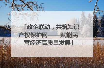 政企联动，共筑知识产权保护网——赋能民营经济高质量发展