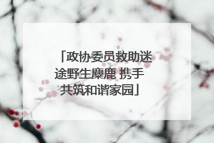 政协委员救助迷途野生麋鹿 携手共筑和谐家园