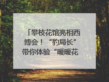 攀枝花馆亮相西博会！“豹局长”带你体验“暖暖花城”独特魅力｜西博视界