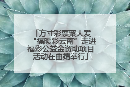 方寸彩票聚大爱 “福暖彩云南”走进福彩公益金资助项目活动在曲靖举行