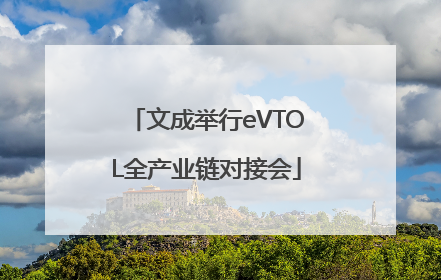 文成举行eVTOL全产业链对接会