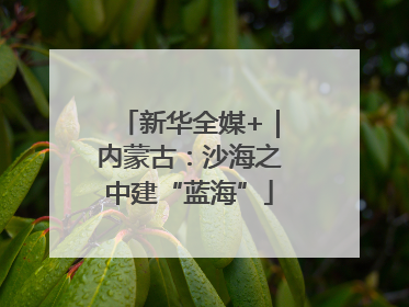 新华全媒+｜内蒙古：沙海之中建“蓝海”