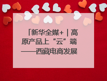新华全媒+｜高原产品上“云”端——西藏电商发展一线观察
