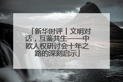 新华时评丨文明对话，互鉴共生——中欧人权研讨会十年之路的深刻启示