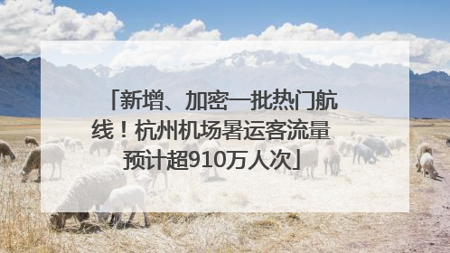 新增、加密一批热门航线！杭州机场暑运客流量预计超910万人次