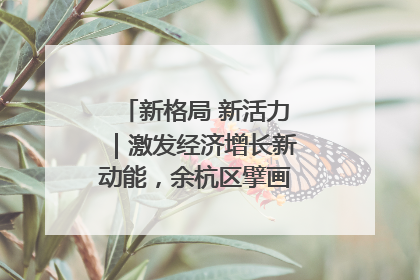 新格局 新活力｜激发经济增长新动能，余杭区擘画消费市场新布局