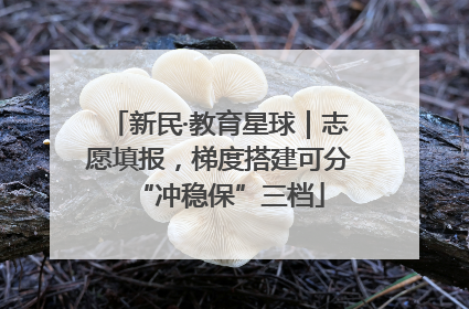 新民·教育星球｜志愿填报，梯度搭建可分“冲稳保”三档